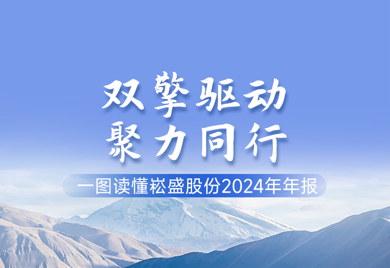 一图读懂 ▏壹定发股份2024年年报